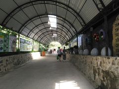 -100蛋泥浆浴