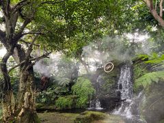 -Chom Cafe and Restaurant