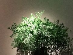 -山里亲戚(淞虹路店)