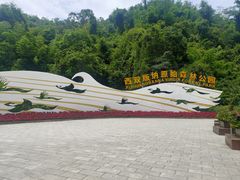-西双版纳原始森林公园