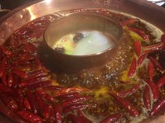 -宽巷子成都火锅(南站店)