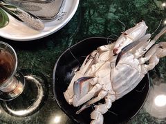 梅子冻-集渔·泰式海鲜火锅(太原里店)