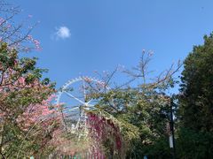 -望天湖