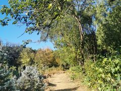 -北京西山国家森林公园