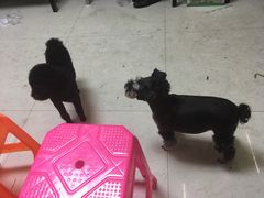 -玉园烧烤·海鲜辣炒