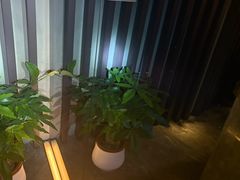 -番茄按摩·影院足道·柔足SPA