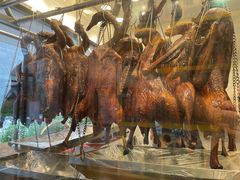 -澳门陈光记烧味饭店(郎家园店)