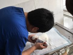 -畜牧兽医站(共江路店)