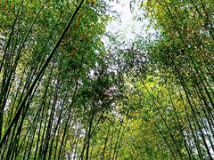 -竹泉村旅游度假区