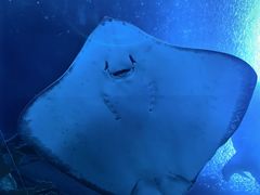 -珠海长隆海洋王国