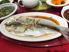 -碧丽宫大酒店(召稼楼店)