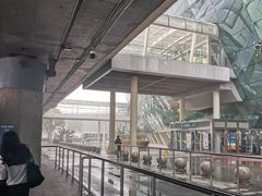 -合肥新桥国际机场-航站楼