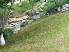 -羊山湖公园