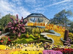 -杭州植物园