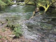 -叠溪松坪沟景区