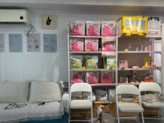 -爱洗澡的猫(望京店)