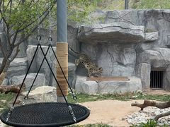 -青藏高原野生动物园