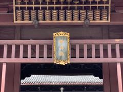 -乌镇东栅景区-修真观