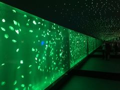 -重庆欢乐海底世界