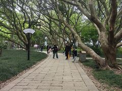 -江心屿景区