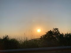 -武陵山森林公园