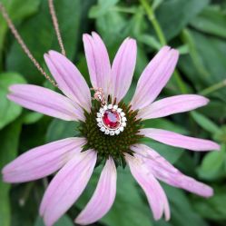 -威德钻石-克拉钻大本营(南京东路店)