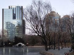 -团结湖公园