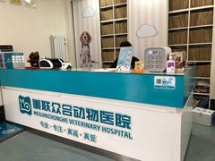 -美联众合爱康动物医院•复杂内科•肿瘤科•牙科•腔镜诊疗中心