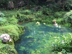 -玉女潭景区
