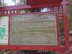 -百脉泉景区