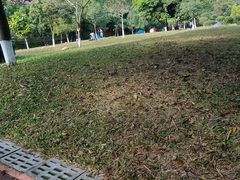 -大屏嶂森林公园