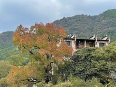 -塔川景区