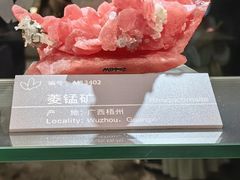 -中国地质博物馆
