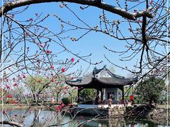 -无锡蠡湖国家湿地公园-蠡园