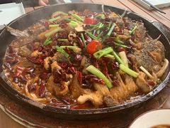 -老板恋上鱼(恒隆广场店)