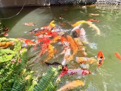 -上海虹桥宾馆味翠餐厅