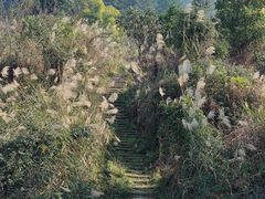 -偏岩古镇