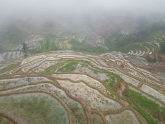 -紫鹊界梯田景区
