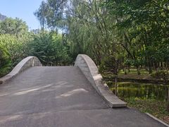 -长白岛森林公园