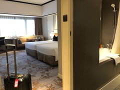 -新加坡乌节希尔顿酒店 (SG Clean)