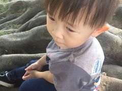 -东莞植物园