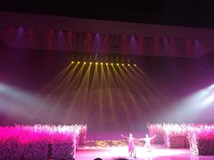 -芜湖方特东方神画