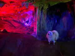 -陶祖圣境风景区