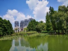 -白塘生态植物园