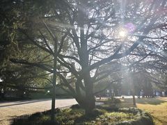 -浙江省博物馆(孤山馆区)