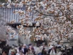 -醍醐寺