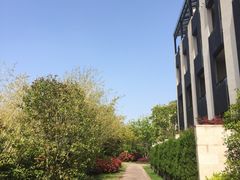 -上海崇明金茂凯悦酒店