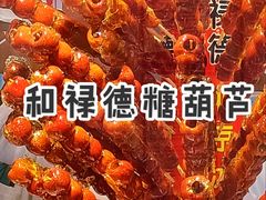 -和禄德冰糖葫芦
