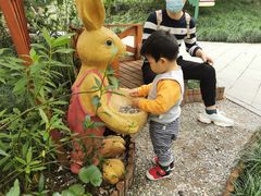 -杭州少年儿童公园