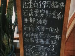 -有猫主题·治愈系猫咖(曾厝垵店)